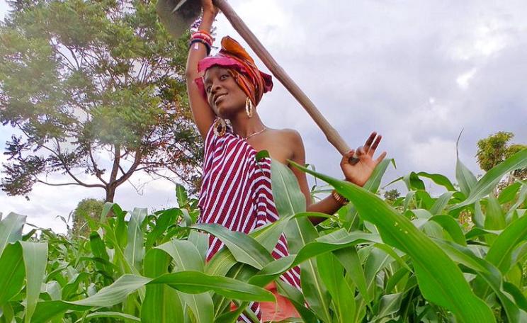 We enjoy farming! Photo: Alto vicky via Wikimedia (CC BY-SA).