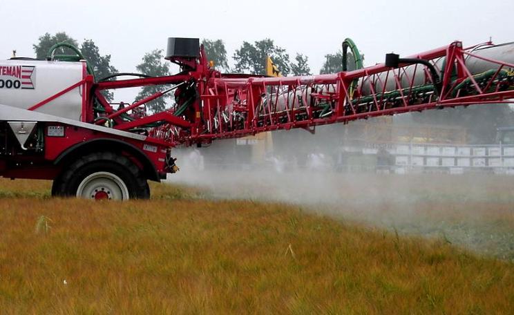 Photo: Weiderinder.de.vu via Wikimedia (Public domain).