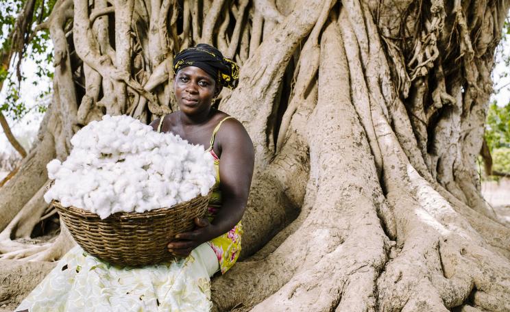 Dadjan Wassinatou, 34, holds a basket of freshly harvested cotton in the village of Zorro, Burkina Faso. Photo: CIFOR via Flickr (CC BY-NC).