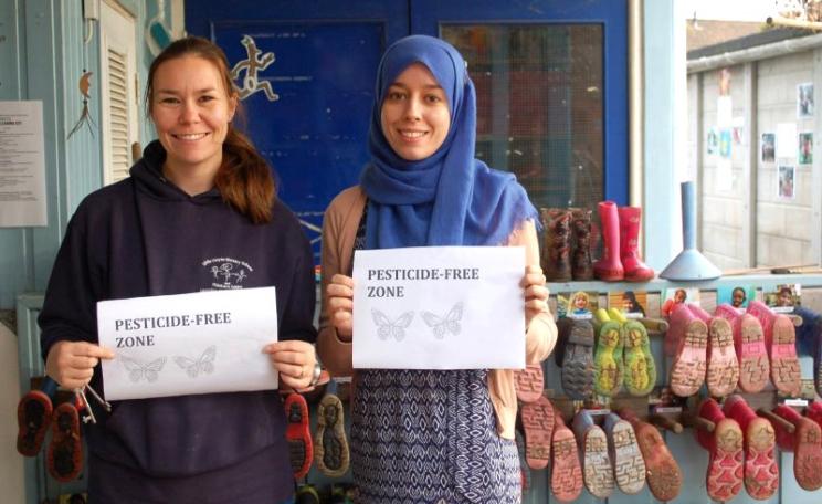 Staff at a Bristol primary school, a member of the Pesticide Safe Bristol Alliance, campaigning to keep glyphosate out of their school and other places where children play. Photo: via Harriet Williams.