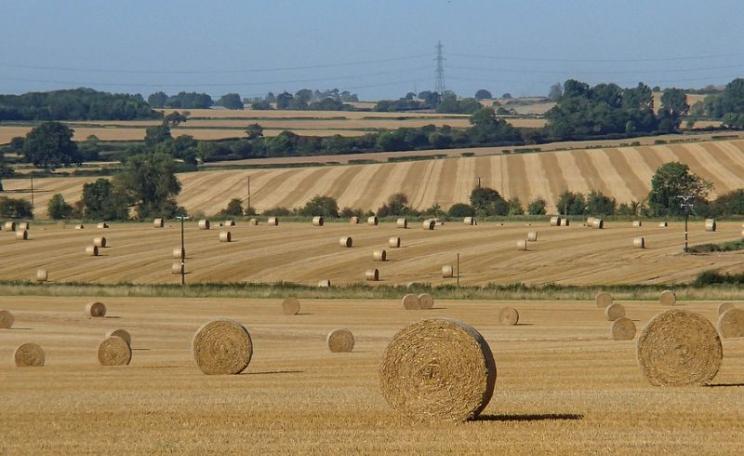 Intensive arable farming near Eakring, Nottinghamshire, England, carried out with massive taxpayer-funded subsidies to wealthy landowners. Photo: Andrew Hill via Flickr (CC BY-ND).