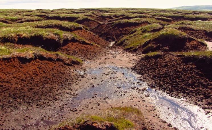 In 2012 Natural England pulled its legal inquiry into the burning of blanket bog in the Pennines - one of several factors damaging the rare and vulnerable habitat. Photo: Peer Lawther via Flickr (CC BY).