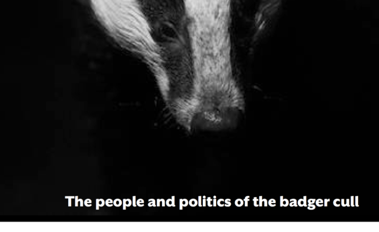 Front cover of 'Badgered to Death' by Dominic Dyer (exerpt), published by Canbury Press.