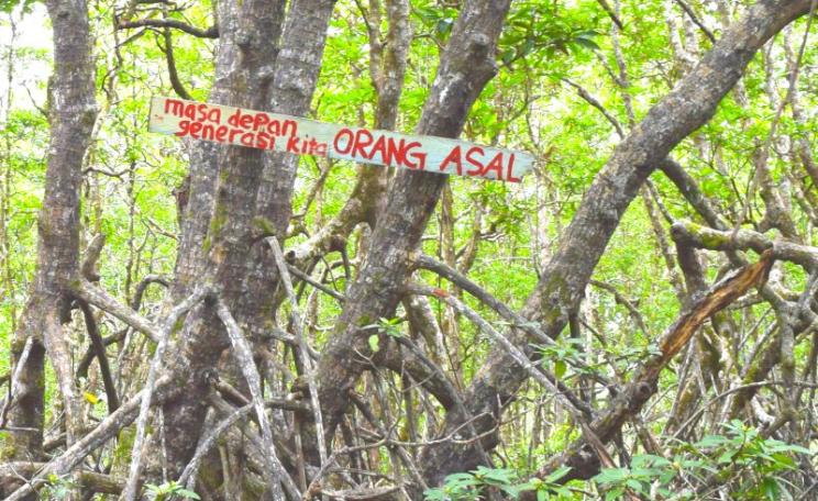 Local communities in Pitas are monitoring the area in order to prevent the project from expanding into the remaining 1,000 acres of mangrove forest. The sign reads: Future for indigenous peoples. Photo: Camilla Capasso / FPP.