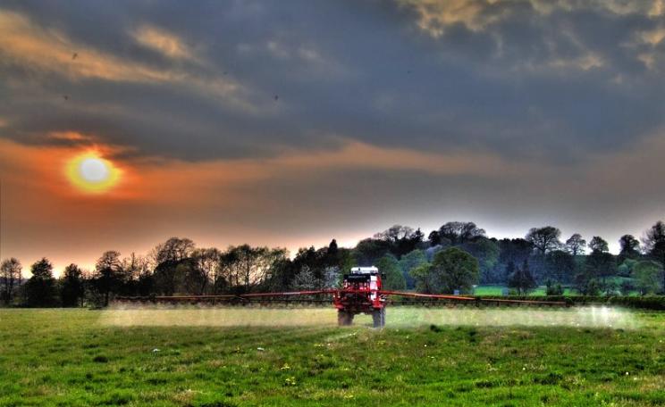 After Brexit, currently banned pesticides like atrazine could once again contaminate the British countryside. Photo: Will Fuller via Flickr (CC BY-NC-ND).