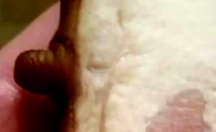 Bacon with nipple: Still from 'Carnage' by Simon Amstell / BBC iPlayer.