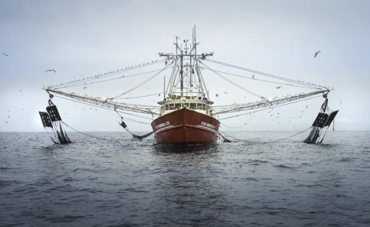 Star Shrimper XXV actively fishing without a license. Photo: Alejandra Gimeno / Sea Shepherd Global.