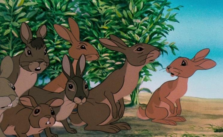 Watership Down, by Richard Adams, had a profound impact on a generation of children after it was published in 1972. A remake of the film is now in production.