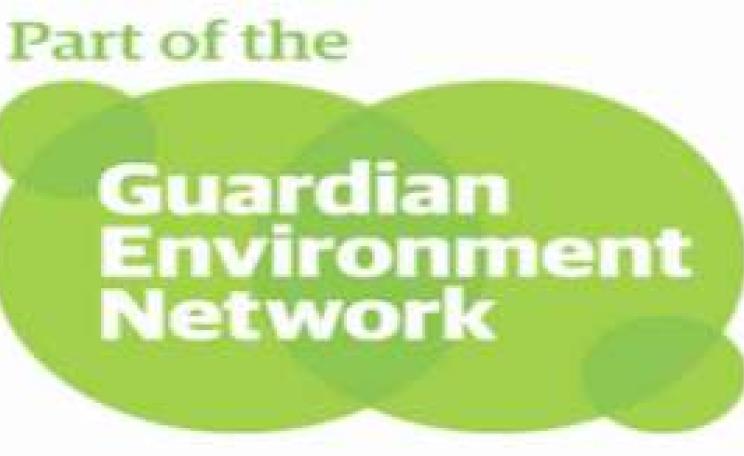Guardian_EN_MAIN_02_2.jpg