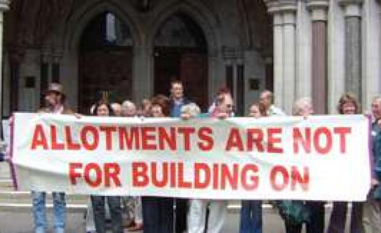 Allotments_MAIN.jpg