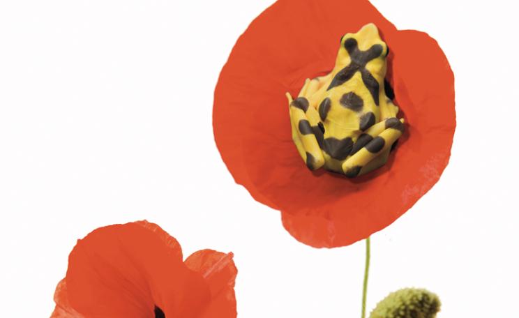 The First Mass Remembrance
