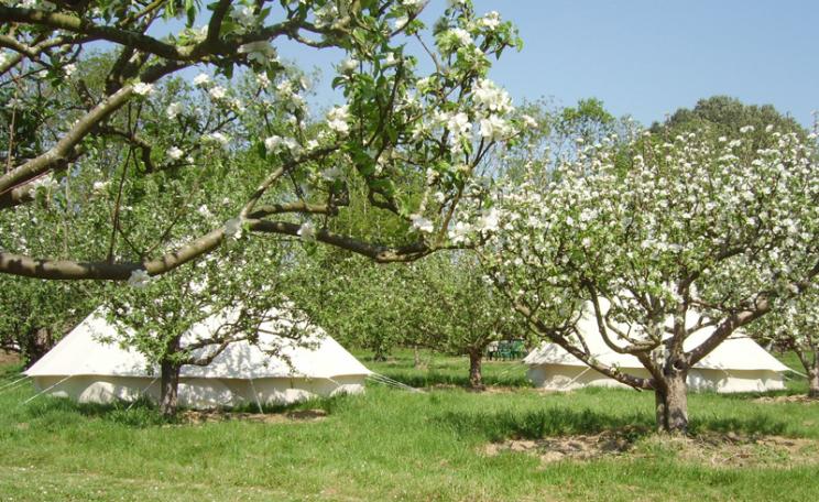 5 Green holidays in the UK