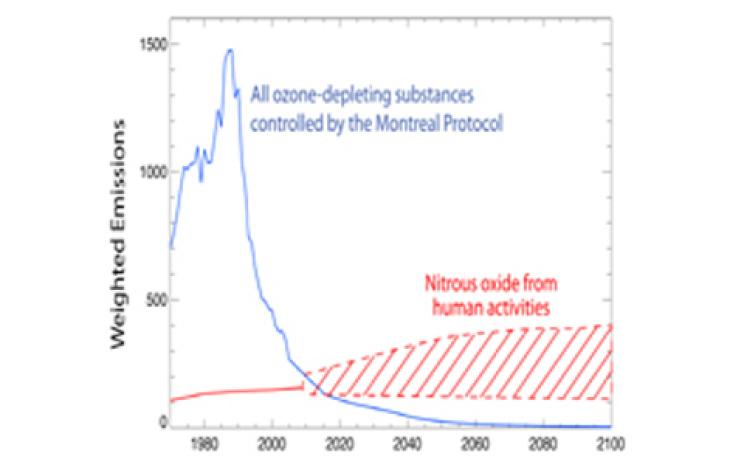 Emissions and their impact on the ozone layer