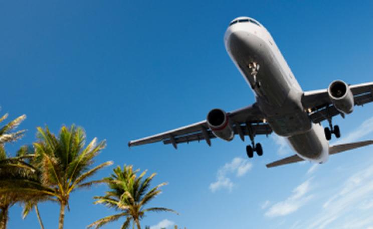 Plane flying over palm trees
